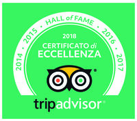 logo hall of fame ytrip.jpg