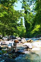 IMG-20210613-WA0013.jpg